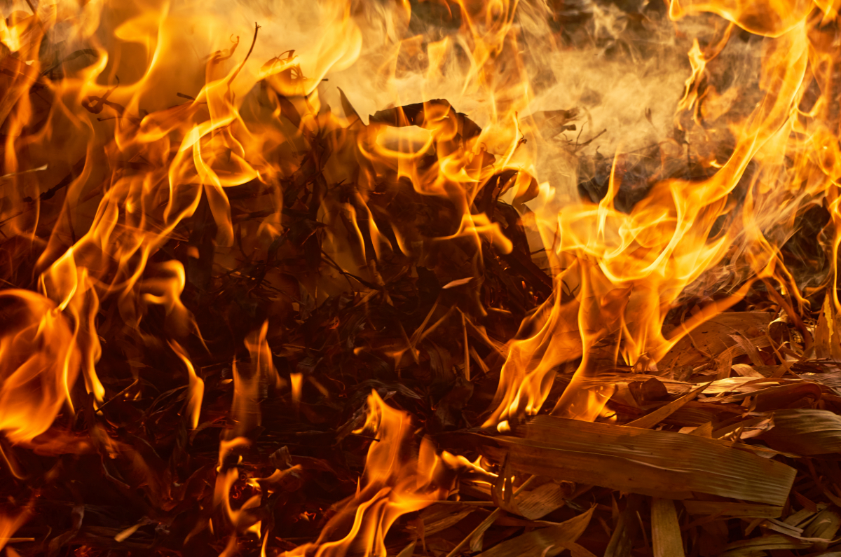 Das Feuerelement in der 5-Elemente Ernährung